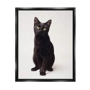 Cute Black Cat Expressive Eyes Pet Portrait by Marika Moffit Floater Frame Animal Wall Art Print 17 in. x 21 in.
