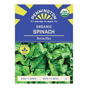 Organic Butterflay Spinach Vegetable Seeds