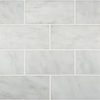 Arabescato Carrara Beveled 3 in. x 6 in. Honed Marble Floor and Wall Tile (1 sq. ft. /Case)