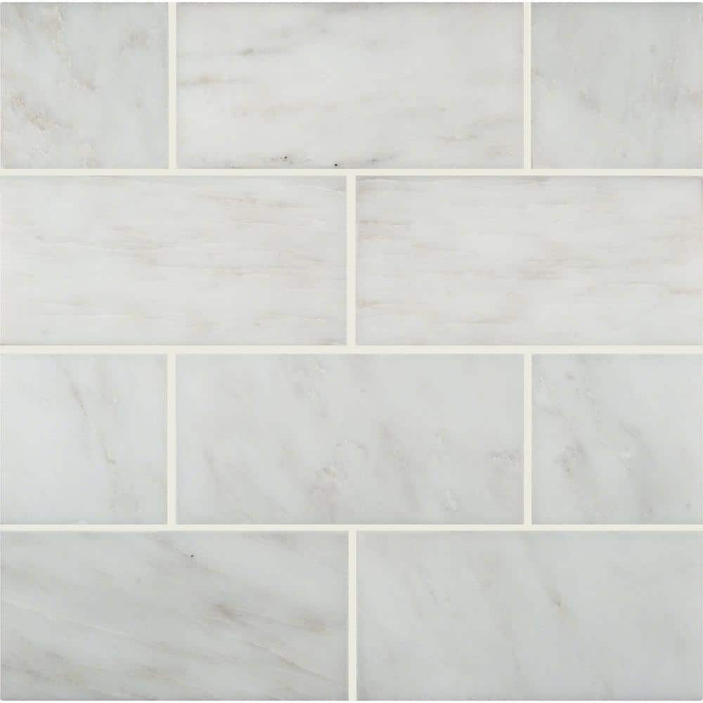 Arabescato Carrara Beveled3 in. x 6 in. Honed Marble Floor and Wall Tile Sample (0.12 sq. ft.) price history on PriceWatchPro