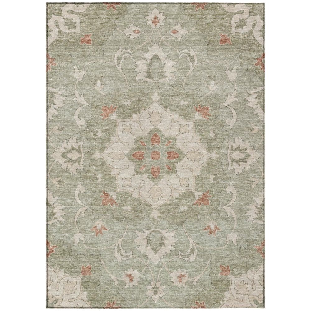Chantille Machine Washable Indoor/Outdoor Abstract ACN2954 Aloe 8 ft. x 10 ft. Area Rug price history on PriceWatchPro