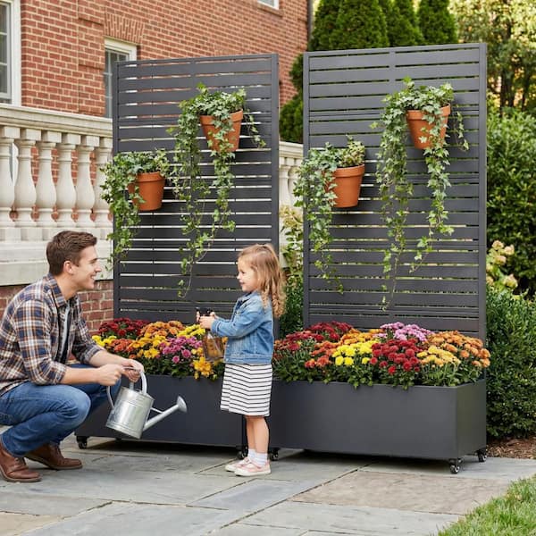 Dovelina 72 in. H x 35 in. W x 16 in. L Metal Black Rectangle Pots