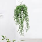 40 in. Donkey Tail String of Pearls Artificial Succulent Hanging Stem Plant Greenery Pick Spray Branch (Set of 2)