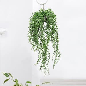 20 .5 in. Donkey Tail String of Pearls Artificial Succulent Hanging Air Plant