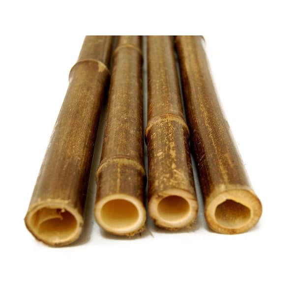 Natural Bamboo Poles for Fences Decorative Garden Stakes Backyard X-Scapes Finish: Natural, Size: 1D x 6ft. H; 25 Piece Bundle