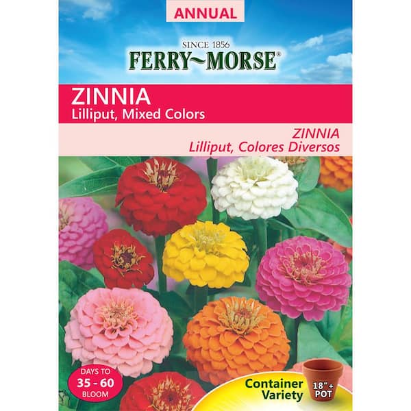 Ferry-Morse Zinnia Lilliput Flower Seed
