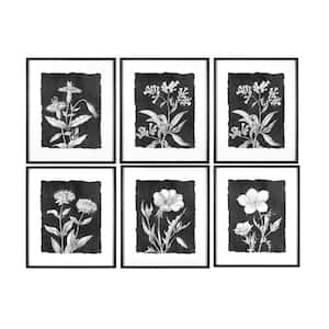 Black & White Floral Images Wood Framed Nature Wall Art Print (Set of 6 Designs) 28 in. x 23.5 in. .