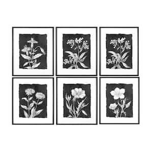 6 Piece Framed Graphic Print Botanical Nature Poster 28 in. in. x 23.5 in.