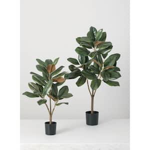 39 in. and 25.5 in. Green Artificial Magnolia Tree - Set Of 2 in Pot