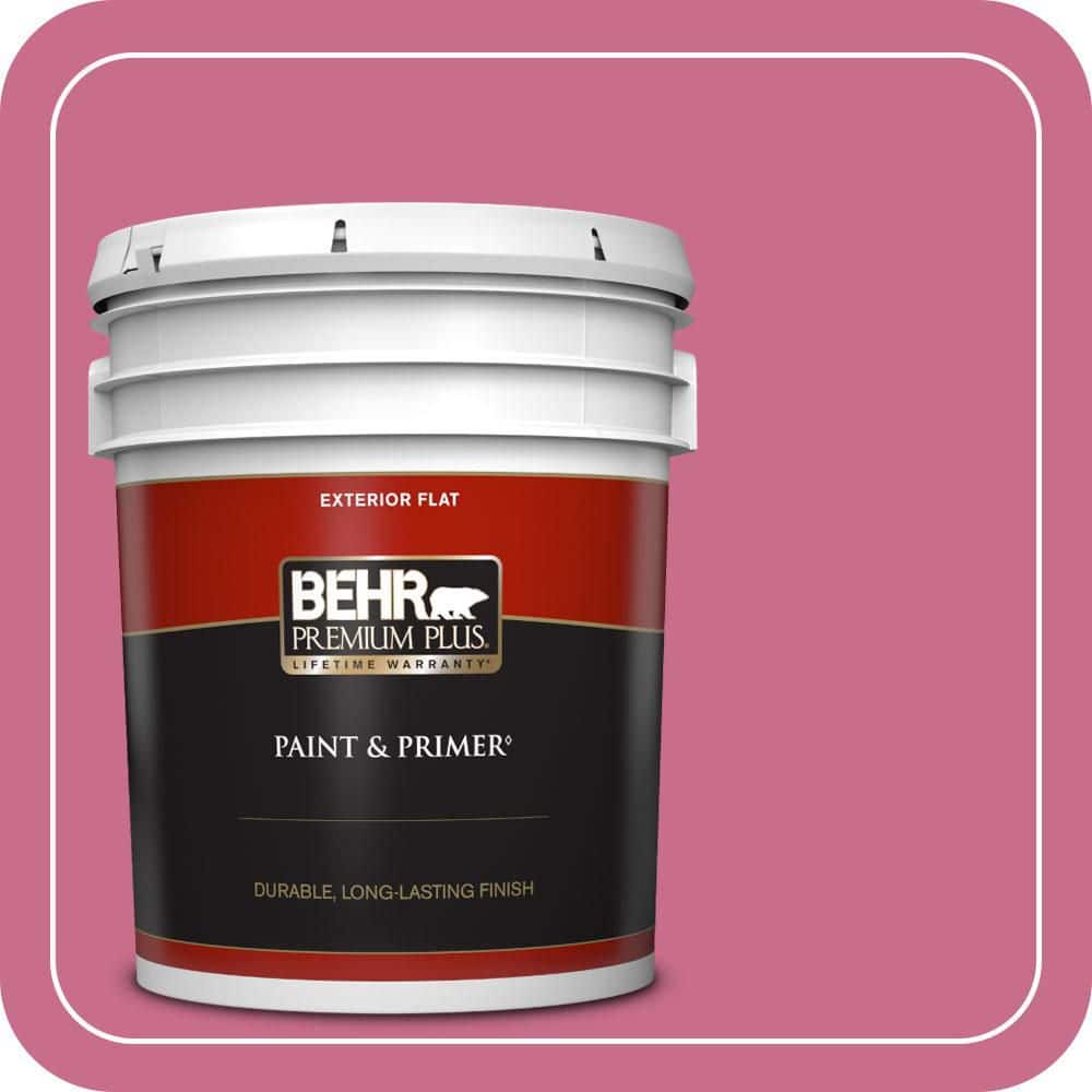 5 gal. #110B-5 Silk Ribbon Flat Exterior Paint & Primer price history on PriceWatchPro