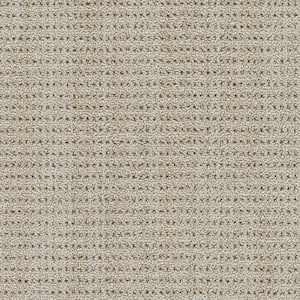 Mirrorball - Spotlight Beige - 40 Oz. SD Polyester Pattern Installed Carpet