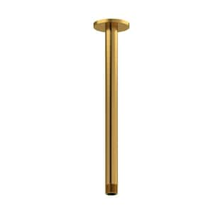 Ceiling Mount Shower Arm, Brushed Gold