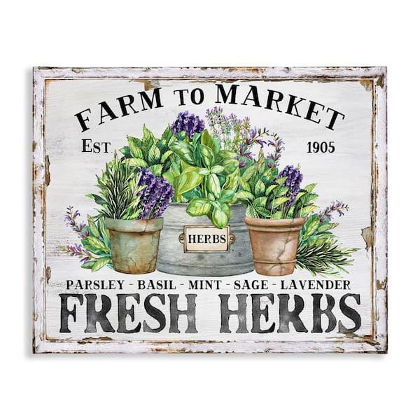Stupell Industries Farmhouse Fresh Herbs by Creatif Belle Unframed Nature Graphic Art Print 16 in. x 20 in.