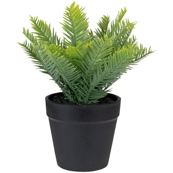 Northlight 7.5 in. Green Artificial Chinese Yew Plant in Black Pot ...