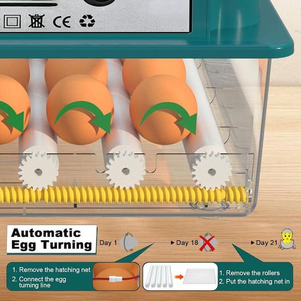 KIWDZFU 12-16 Egg Incubator Automatic Egg Turning Humidification