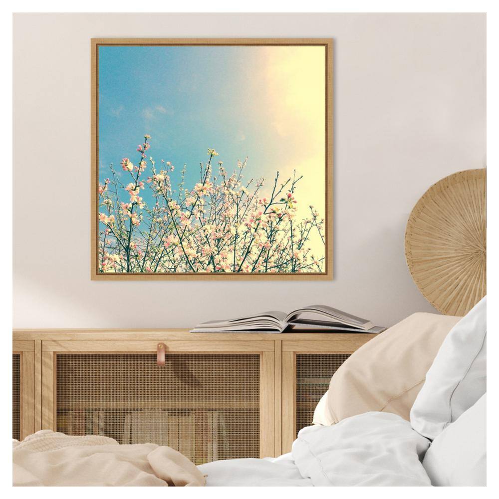 Springing Pink I Contemporary Canvas Print with Maple Floater Frame