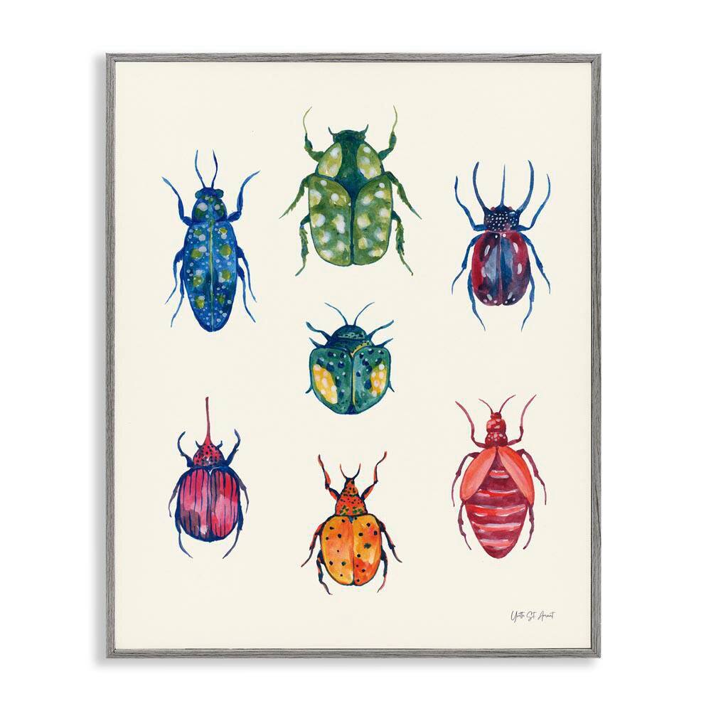 Varied Beetle Chart by Yvette St. Amant Gray Framed Animal Giclee Art Print 30 in. x 24 in. price history on PriceWatchPro