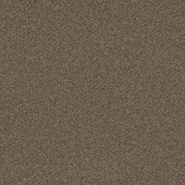 8 in. x 8 in. Texture Carpet Sample-Harpstring II-Color Hollow