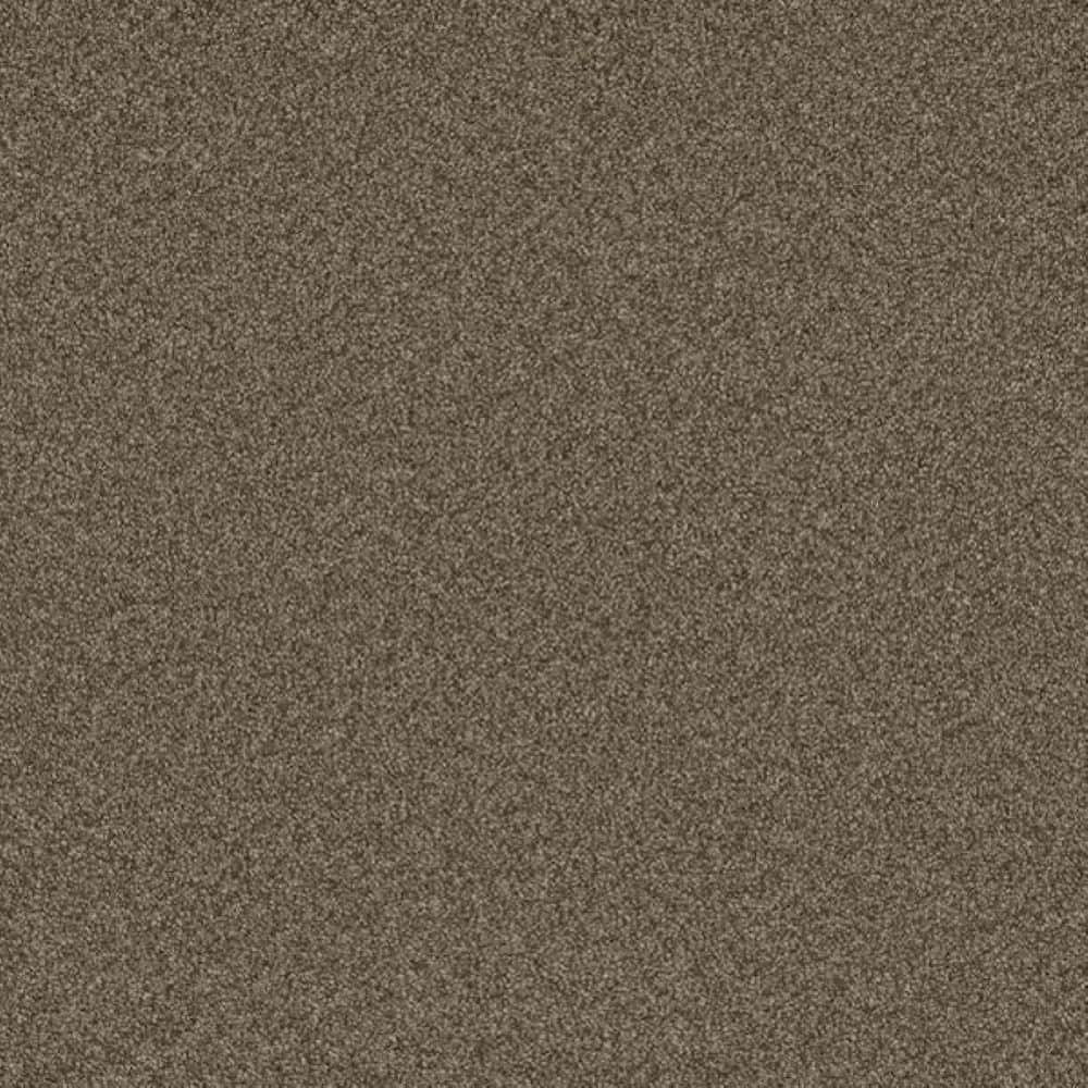 8 in. x 8 in. Texture Carpet Sample-Harpstring I-Color Hollow price history on PriceWatchPro