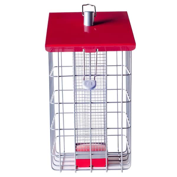Geohaus Peanut Feeder
