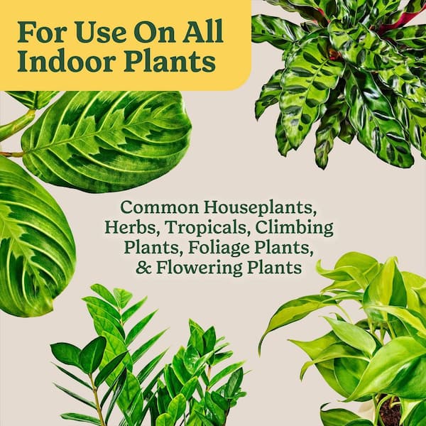 Miracle-Gro Indoor Potting Mix for All Plants 16 qt. Soil For Indoor  Container Plants, Use with Houseplants and More 72786890 - The Home Depot