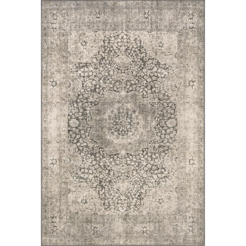 Hillstone Grey 5 ft. x 8 ft. Traditional Vintage Medallion Area Rug price history on PriceWatchPro
