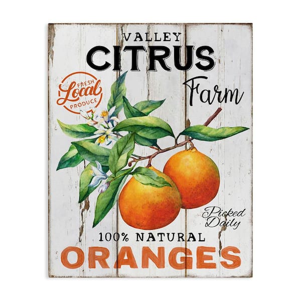 Stupell Industries Retro Citrus Farm by Creatif Belle Unframed Food Graphic Art Print 48 in. x 36 in.