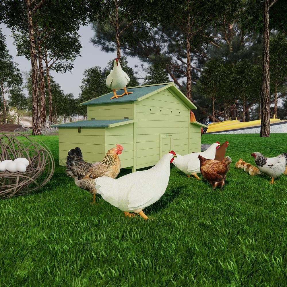 Large Green Wooden Chicken Coop with Nesting Boxes