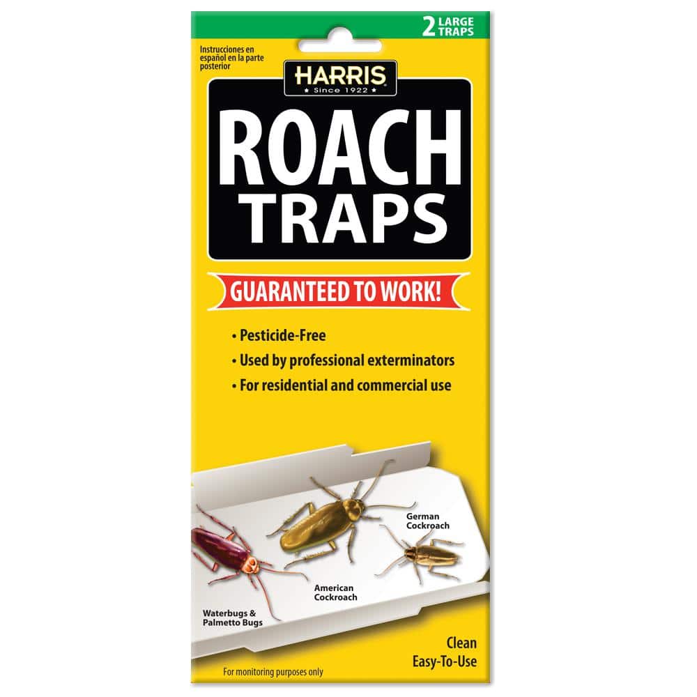 https://images.thdstatic.com/productImages/34980be2-04bb-4343-853e-5b0a60493f85/svn/white-harris-insect-traps-rtrp-64_1000.jpg