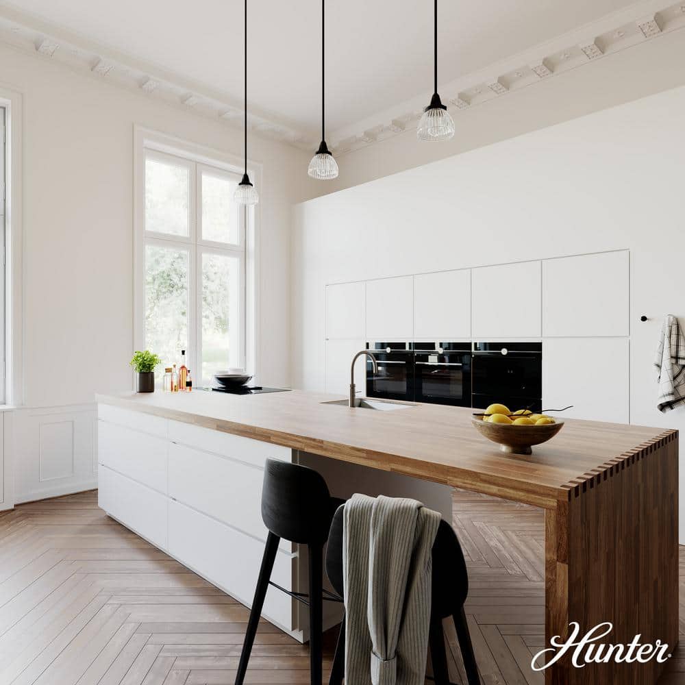 Hunter Cypress Grove Natural Black Iron Mini Pendant Light with Clear Glass Dome Shade