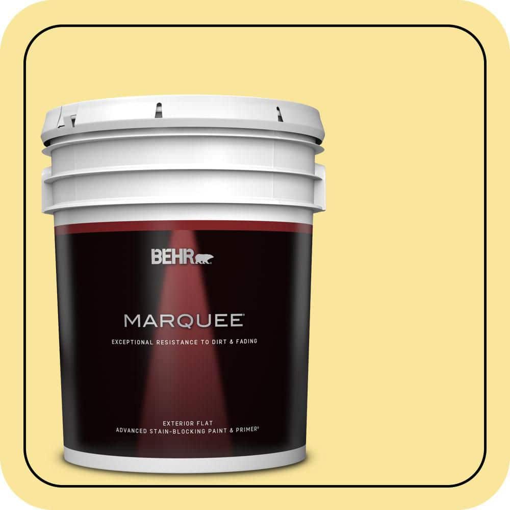 5 gal. #P310-4 Storm Lightning Flat Exterior Paint & Primer product image for price tracking
