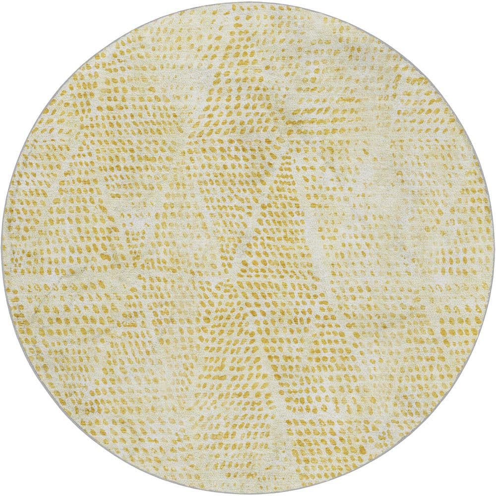 Dream Shag Premium Machine Washable Abstract ADS591 Wheat 8 ft. x 8 ft. Round Rug price history on PriceWatchPro