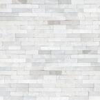 Arctic White Splitface Ledger Panel 6 in. x 24 in. Textured Marble Wall Tile (6 sq. ft./Case)