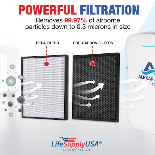 LifeSupplyUSA Replacement Set (1-True HEPA Air Filter plus 1 
