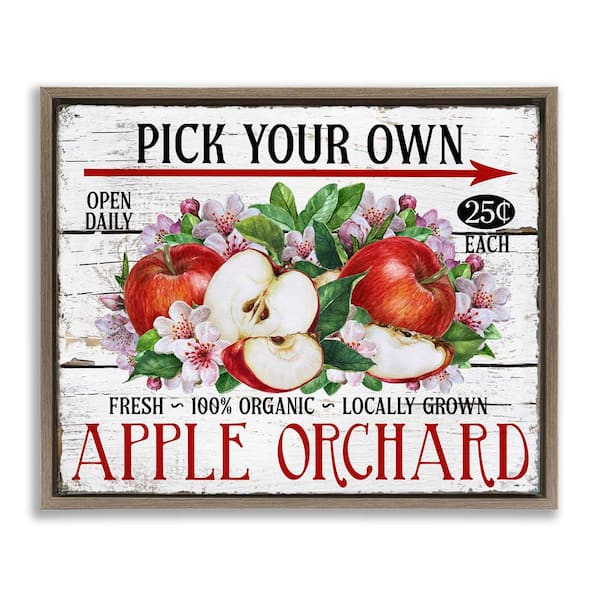 Stupell Industries Pick Your Own Apples by Creatif Belle Brown Floater Frame Food Graphic Art Print 25 in. x 31 in.