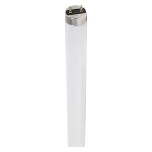 32-Watt 4 ft. Linear T8 Fluorescent Tube Light Bulb Daylight Deluxe (30-Pack)