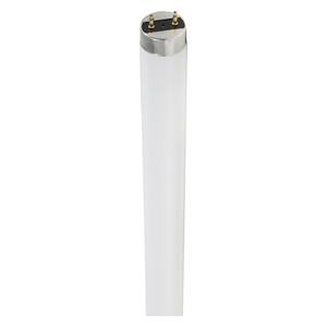 32-Watt 4 ft. Linear T8 Fluorescent Tube Light Bulb Daylight (30-Pack)