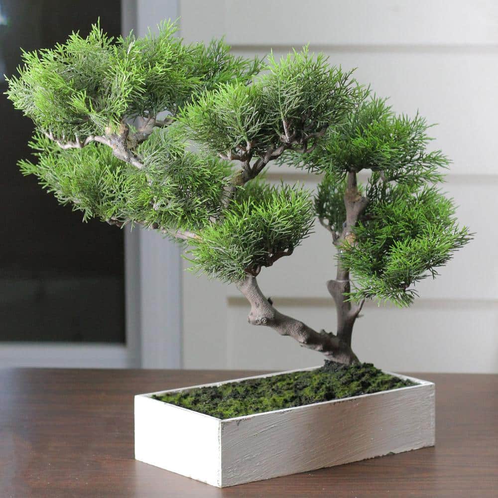 Green Plastic Japanese Bonsai Tree in White Planter Box