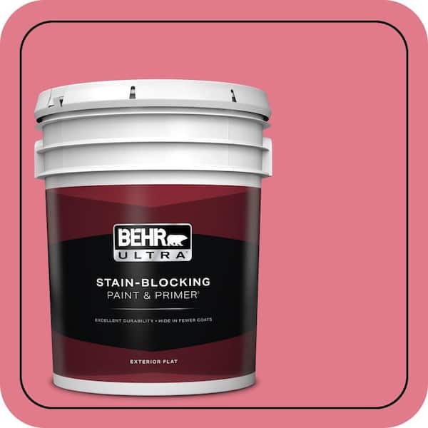 BEHR ULTRA 5 gal. #P150-4 Hot Gossip Flat Exterior Paint & Primer