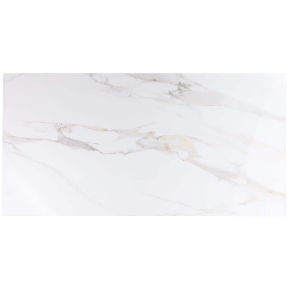 Terius Aurora Gold 8 in. x 0.41 in. Polished Marble Look Porcelain Floor and Wall Tile Sample price history on PriceWatchPro