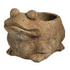 Large Rust Cement Frog Planter