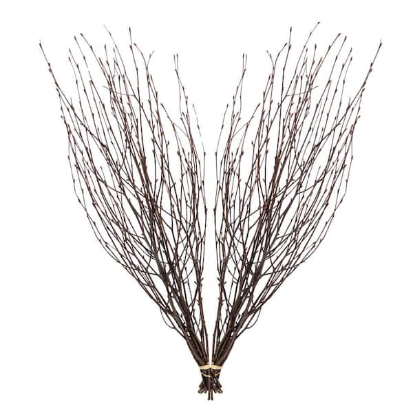 White Birch Branches, 6 count, 12 inches in length, 1/2 - 3/4 inch diameters