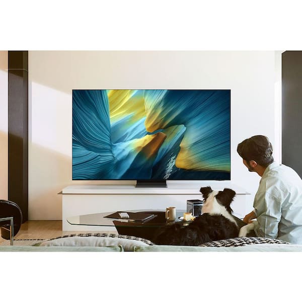 Samsung 55” Class OLED 4K S95F Samsung Vision AI Smart TV (2025 Samsung 55” Class OLED 4K S95F Samsung Vision AI Smart TV (2025