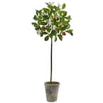 38 in. Potted Orange Tree