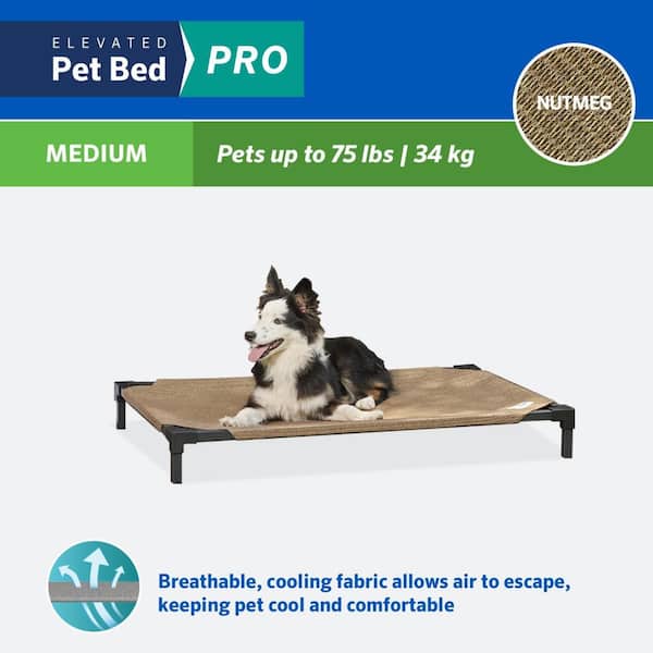 Coolaroo medium dog clearance bed