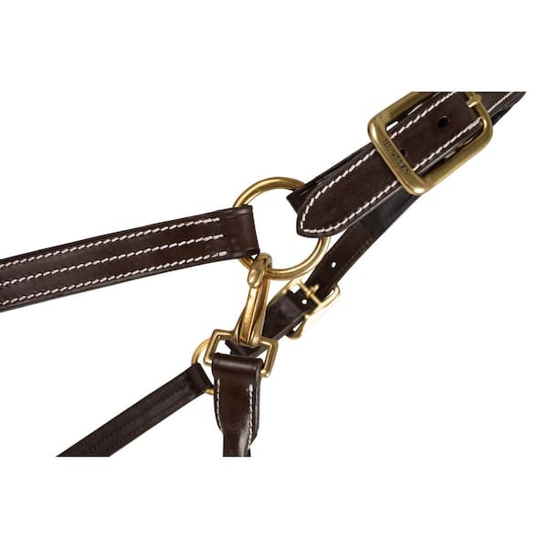 Equiline GrueG Fancy Leather Belt | Farm House Tack Champagne / 100