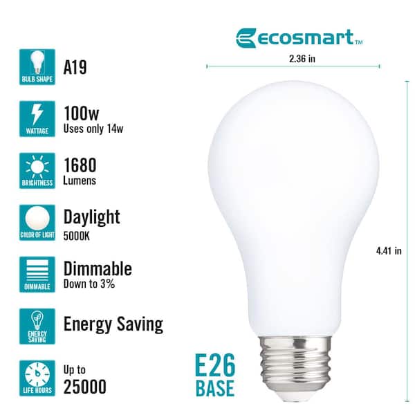 100-Watt Equivalent A19 Dimmable CEC Frosted Glass Filament LED Light Bulb in Daylight (2-Pack)