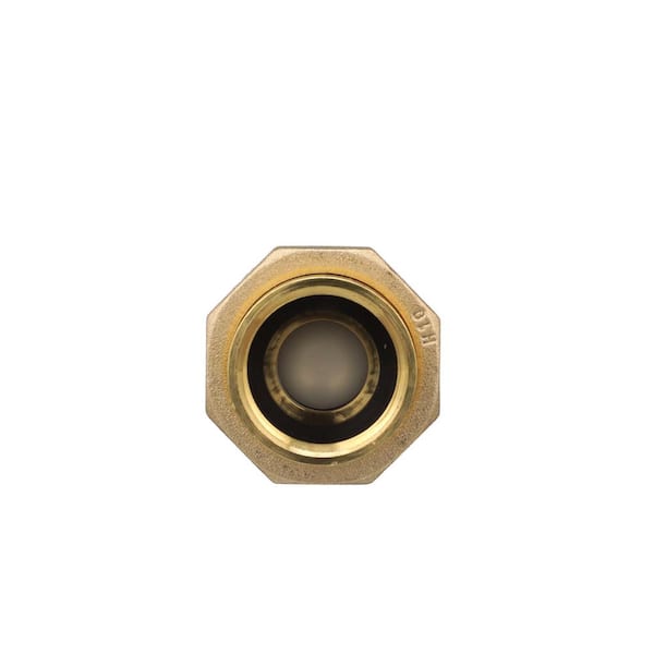 Wilkins 1 in. x 1 in. 700XL Dual Check Valve 1UFMX1M-700XL - The