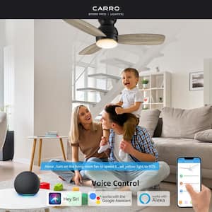 Trendsetter II 44 in. Integrated LED Indoor/Outdoor Black Smart Ceiling Fan with Light&Remote, Works w/Alexa/Google Home