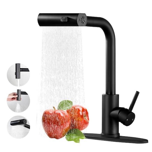 Single Handle Pull-Down Sprayer Kitchen Faucet in Matte Black